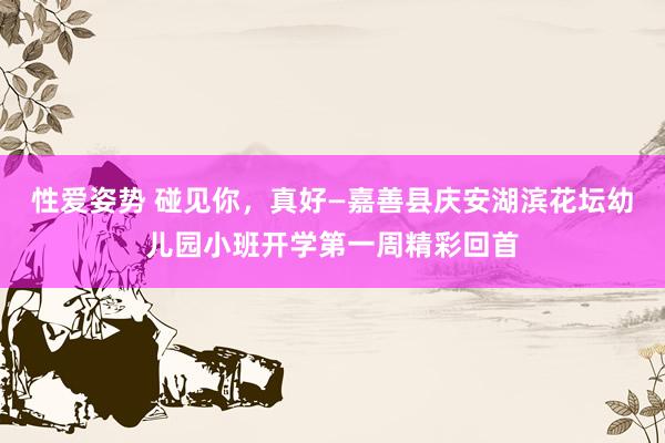 性爱姿势 碰见你，真好—嘉善县庆安湖滨花坛幼儿园小班开学第一周精彩回首