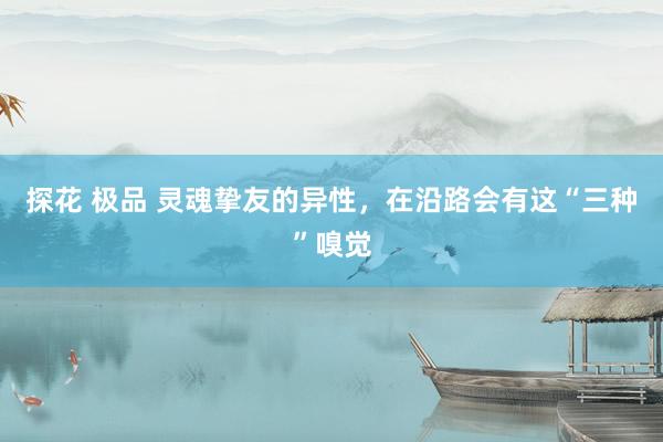 探花 极品 灵魂挚友的异性，在沿路会有这“三种”嗅觉