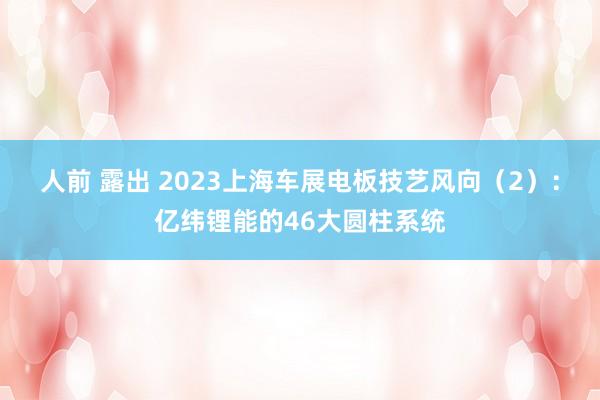 人前 露出 2023上海车展电板技艺风向（2）：亿纬锂能的46大圆柱系统