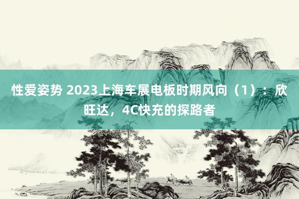性爱姿势 2023上海车展电板时期风向（1）：欣旺达，4C快充的探路者