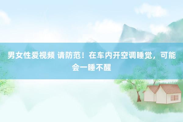 男女性爱视频 请防范！在车内开空调睡觉，可能会一睡不醒