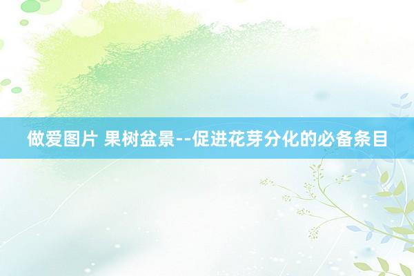 做爱图片 果树盆景--促进花芽分化的必备条目