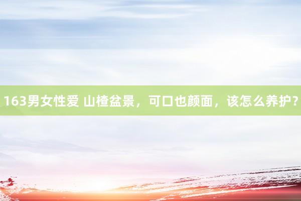 163男女性爱 山楂盆景，可口也颜面，该怎么养护？