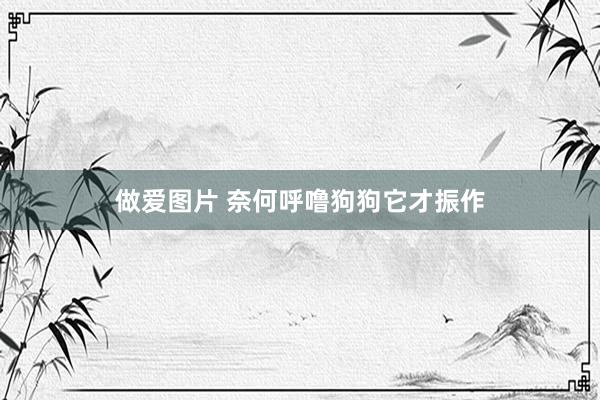 做爱图片 奈何呼噜狗狗它才振作