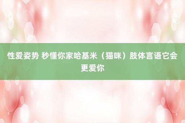 性爱姿势 秒懂你家哈基米（猫咪）肢体言语它会更爱你