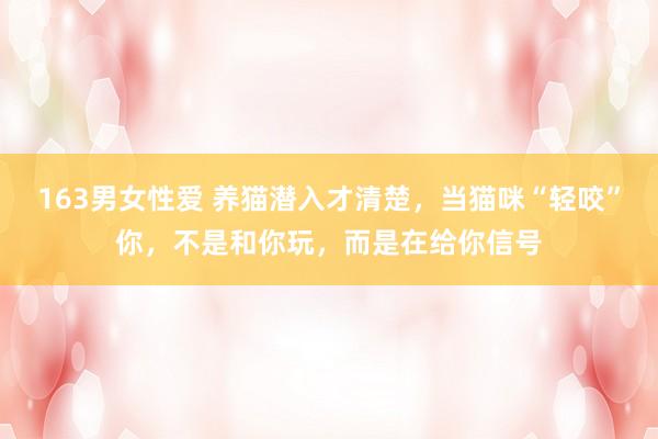 163男女性爱 养猫潜入才清楚，当猫咪“轻咬”你，不是和你玩，而是在给你信号