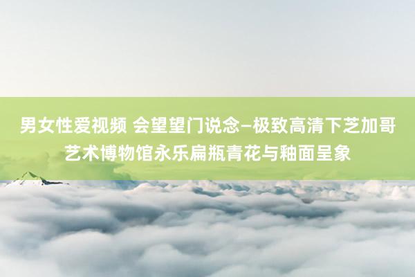 男女性爱视频 会望望门说念—极致高清下芝加哥艺术博物馆永乐扁瓶青花与釉面呈象