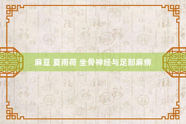 麻豆 夏雨荷 坐骨神经与足部麻痹