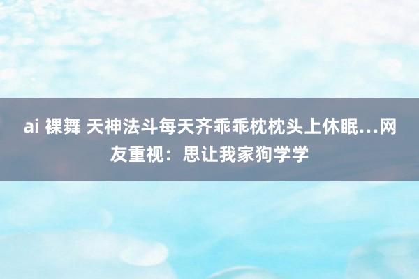 ai 裸舞 天神法斗每天齐乖乖枕枕头上休眠…网友重视：思让我家狗学学