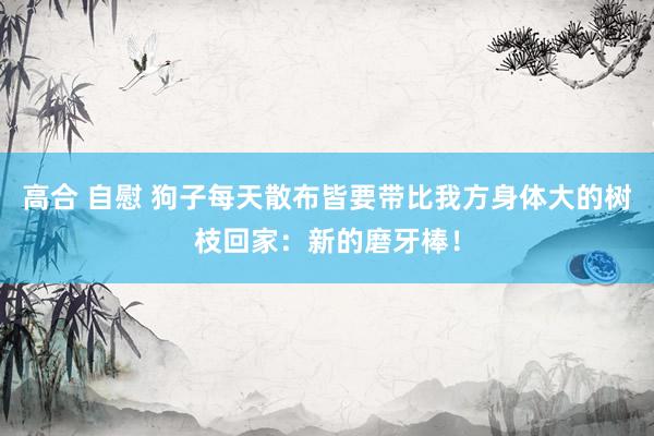 高合 自慰 狗子每天散布皆要带比我方身体大的树枝回家：新的磨牙棒！