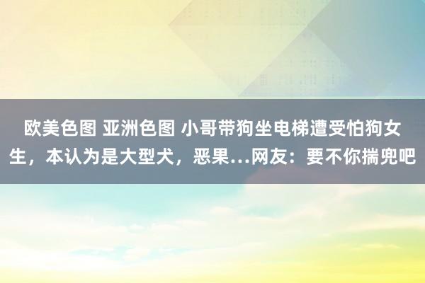 欧美色图 亚洲色图 小哥带狗坐电梯遭受怕狗女生，本认为是大型犬，恶果…网友：要不你揣兜吧