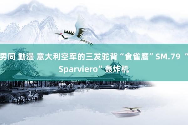 男同 動漫 意大利空军的三发驼背“食雀鹰”SM.79 “Sparviero”轰炸机