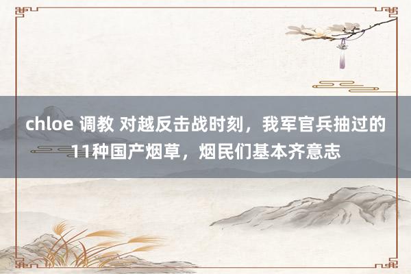 chloe 调教 对越反击战时刻，我军官兵抽过的11种国产烟草，烟民们基本齐意志